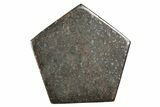 Stony Chondrite Cabochon ( g) - Meteorite #238196-1